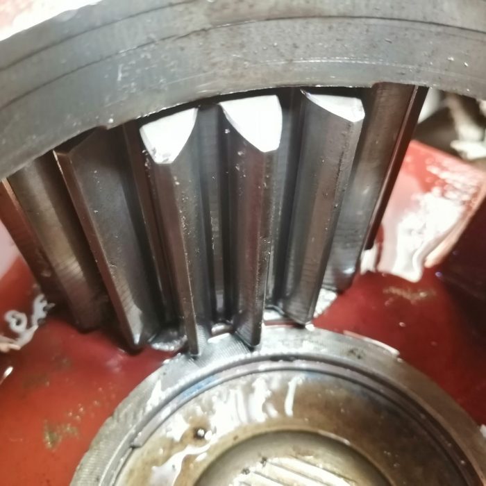 66